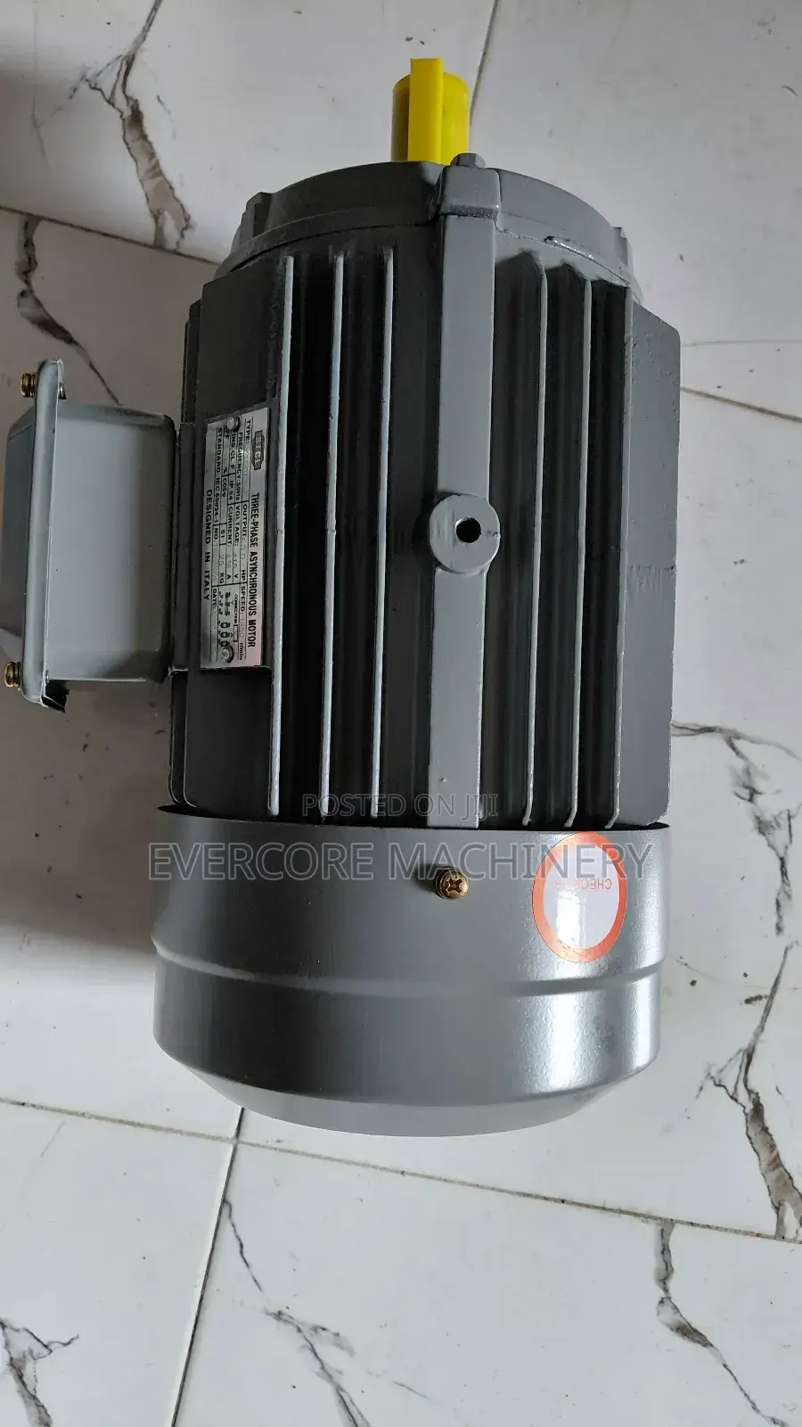 STCL Italy 3hp Electric 3-Phase Motor Lowspeed .