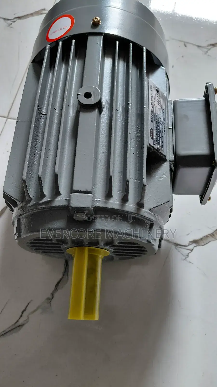 STCL Italy 3hp Electric 3-Phase Motor Lowspeed .