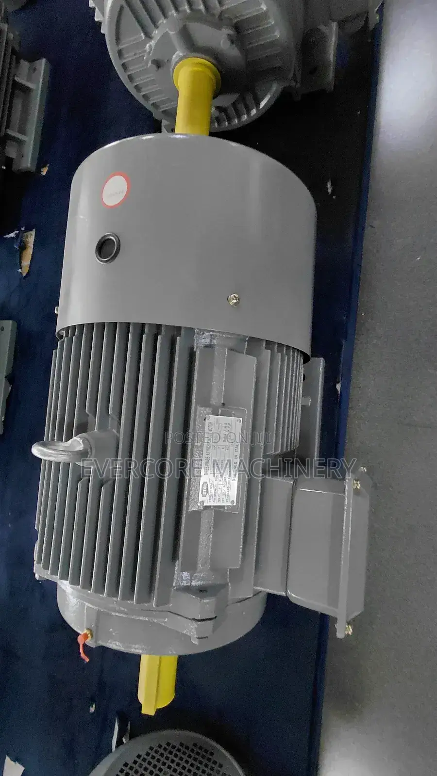 STCL Italy 30hp High-Speed Motor Three Phase Copper Winded.