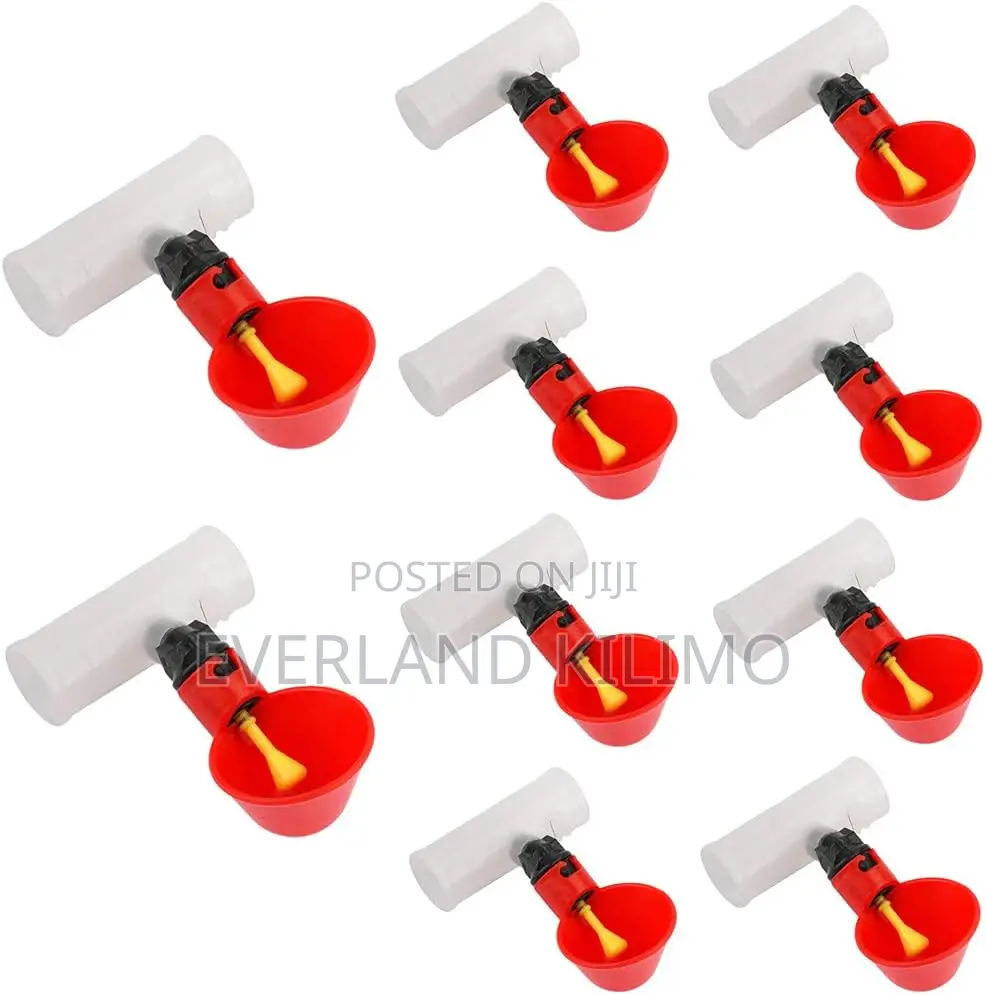 Durable Poultry Drinkers With Connectors