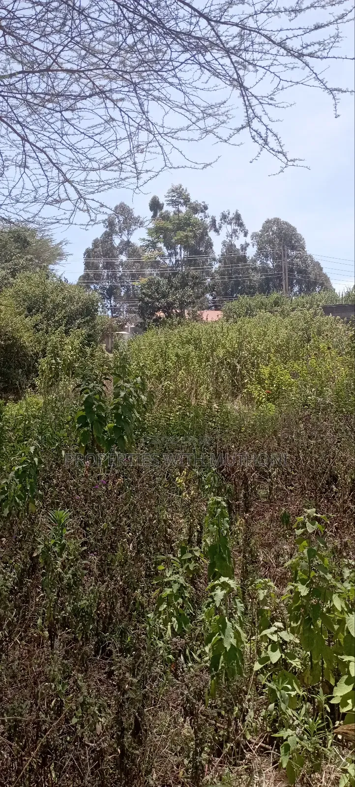 50×100 Plot for Sale in Kibiko, Ngong.