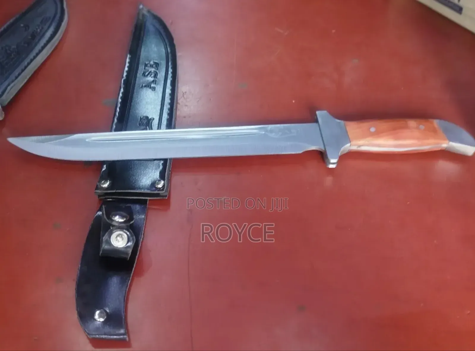 Case Stainless Steel Knife