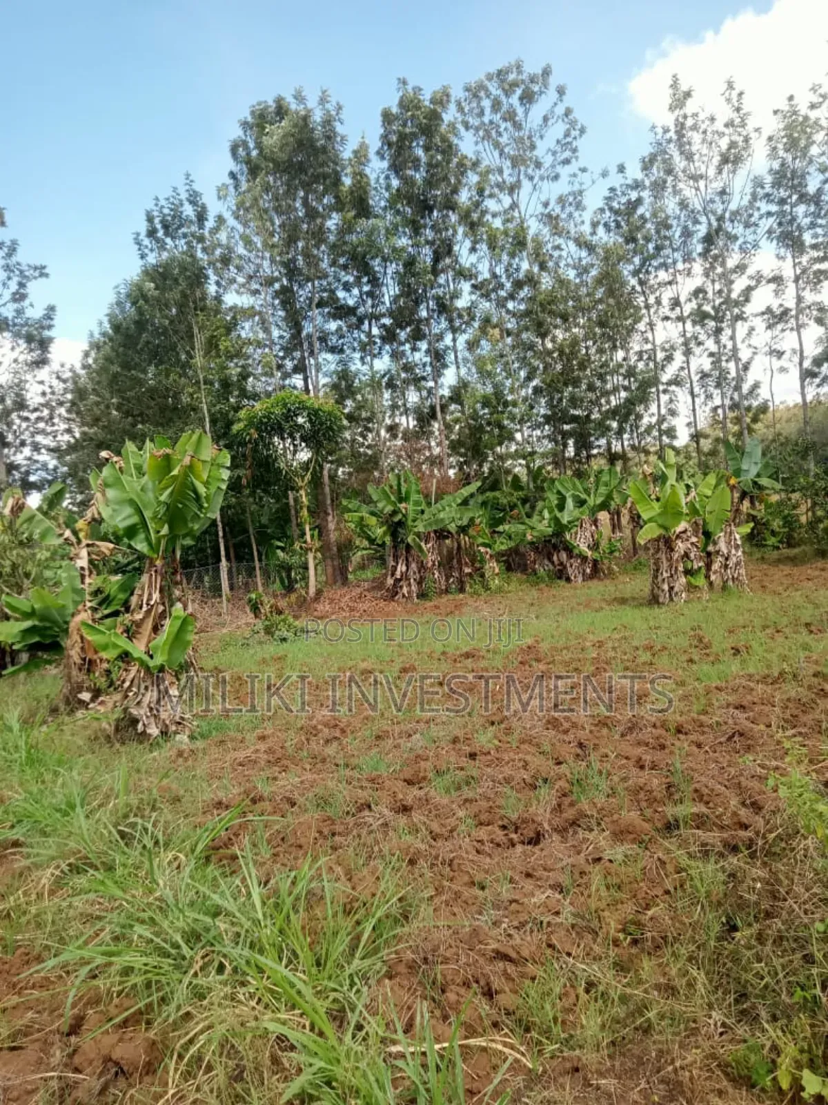 One Acre Land on at Summary -Maragua
