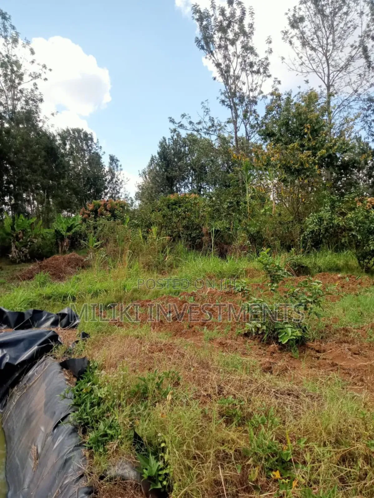 One Acre Land on at Summary -Maragua