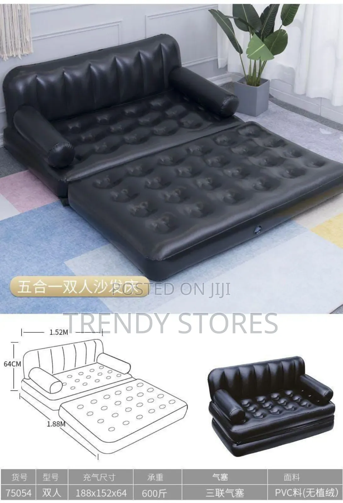 Inflatable Pullout Sofa