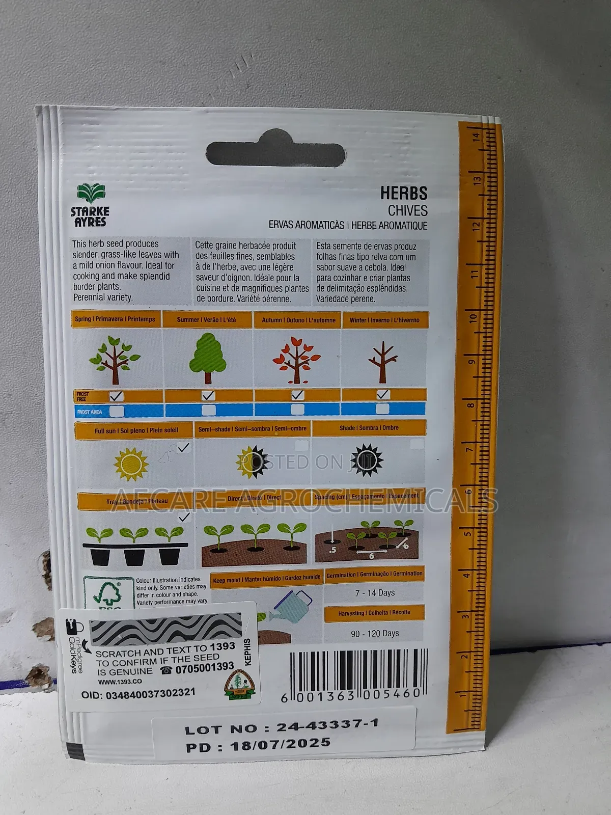 Chives Herb Seeds 1.8 Grams
