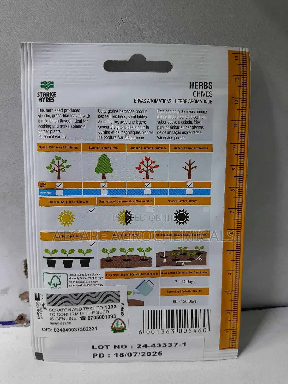 Chives Herb Seeds 1.8 Grams
