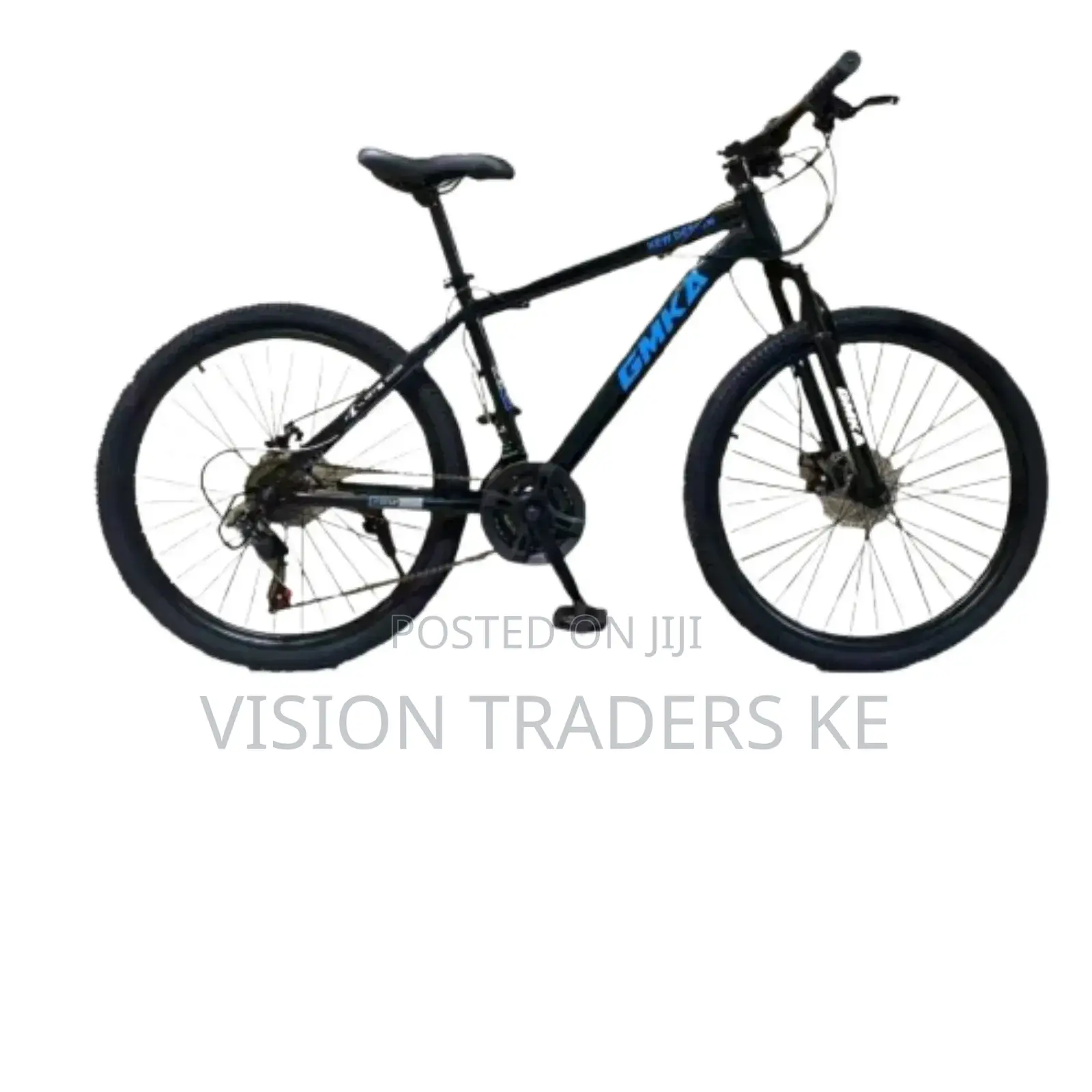 Premier Mountain Bike Size 24