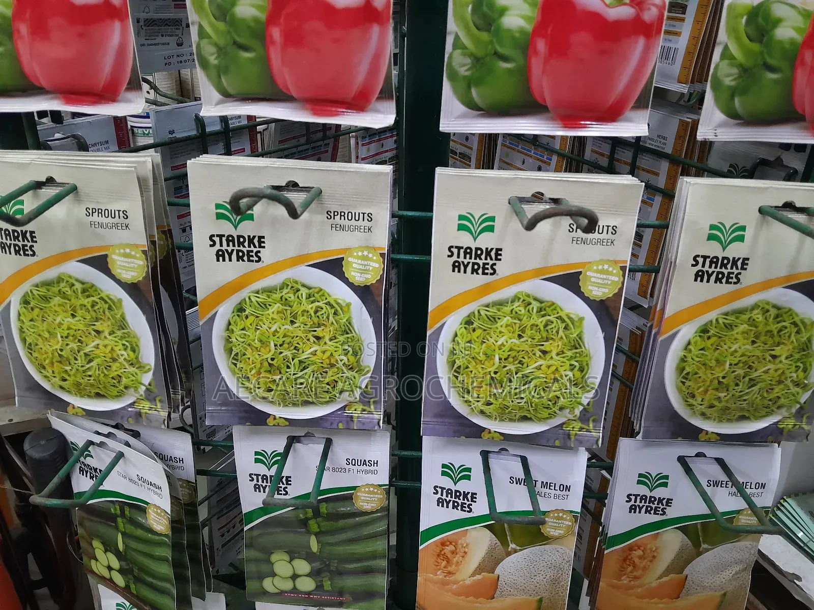 Sprouts Fenugreek Seeds 3 Grams