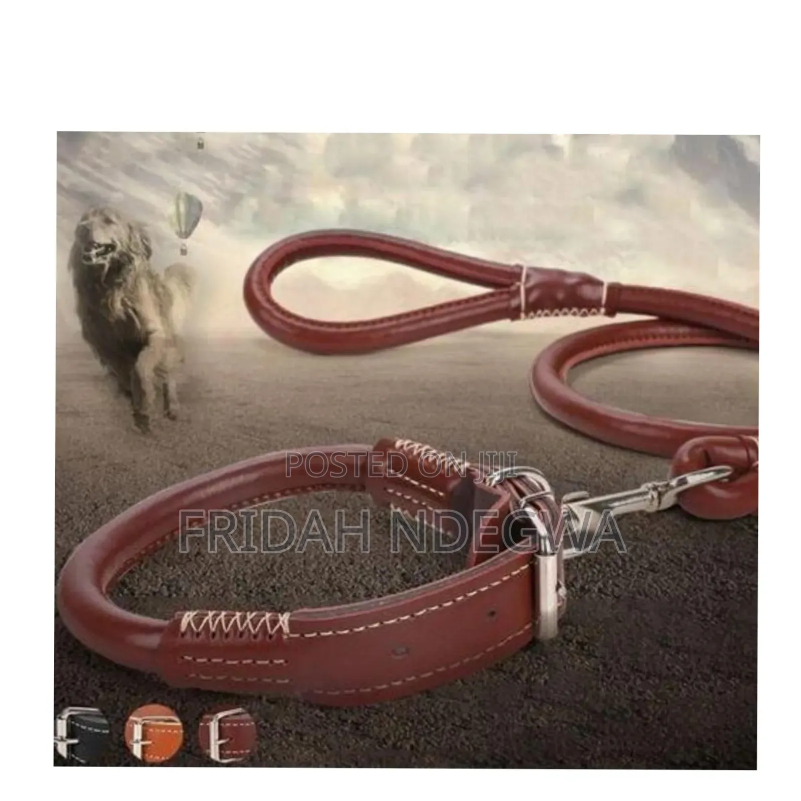 Complete Set Easy Grip Rolled Up Leather Dog Collar and Leash