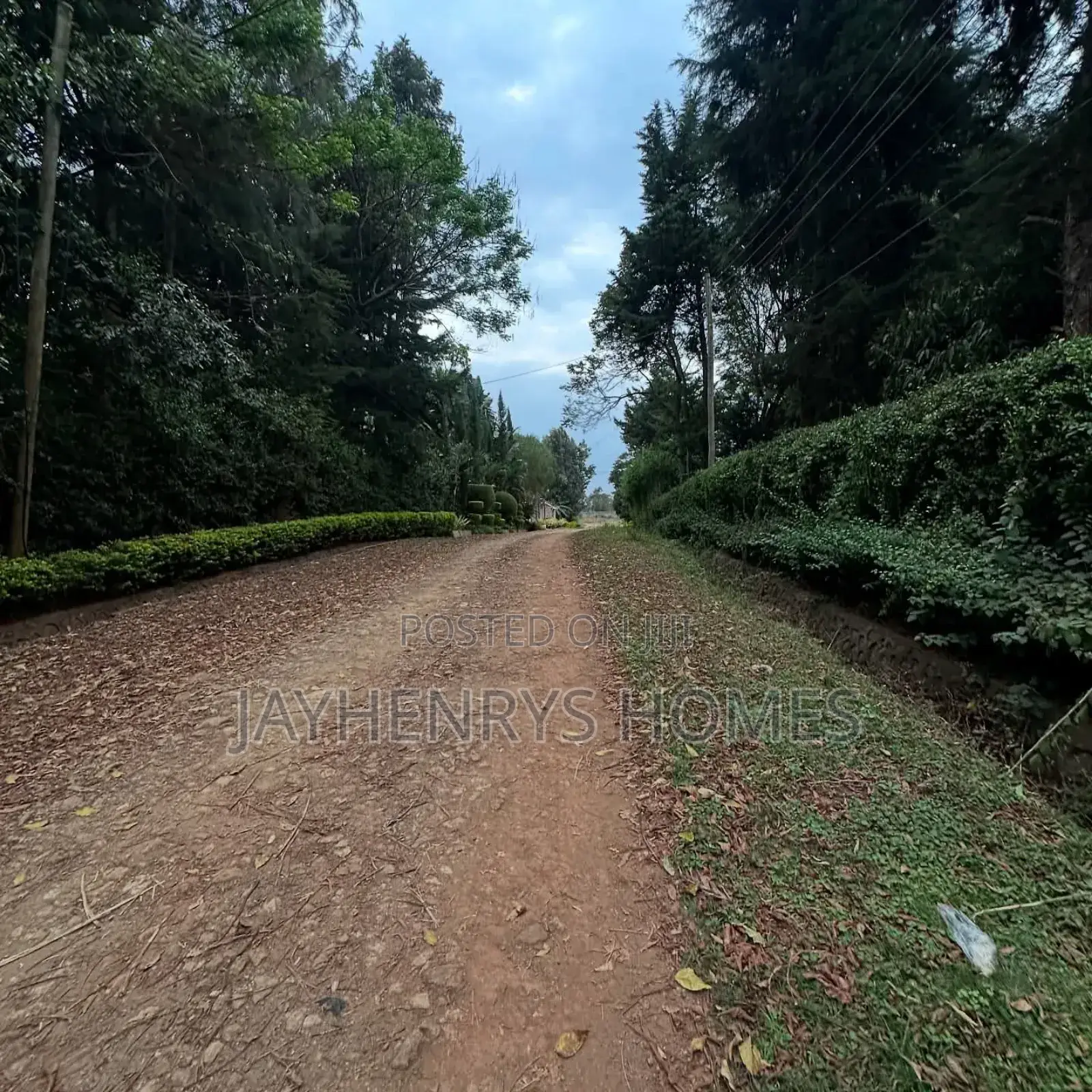 Half Acre Plot for Sale in Njathaini Road,Off Kiambu Rd at Kes 30m