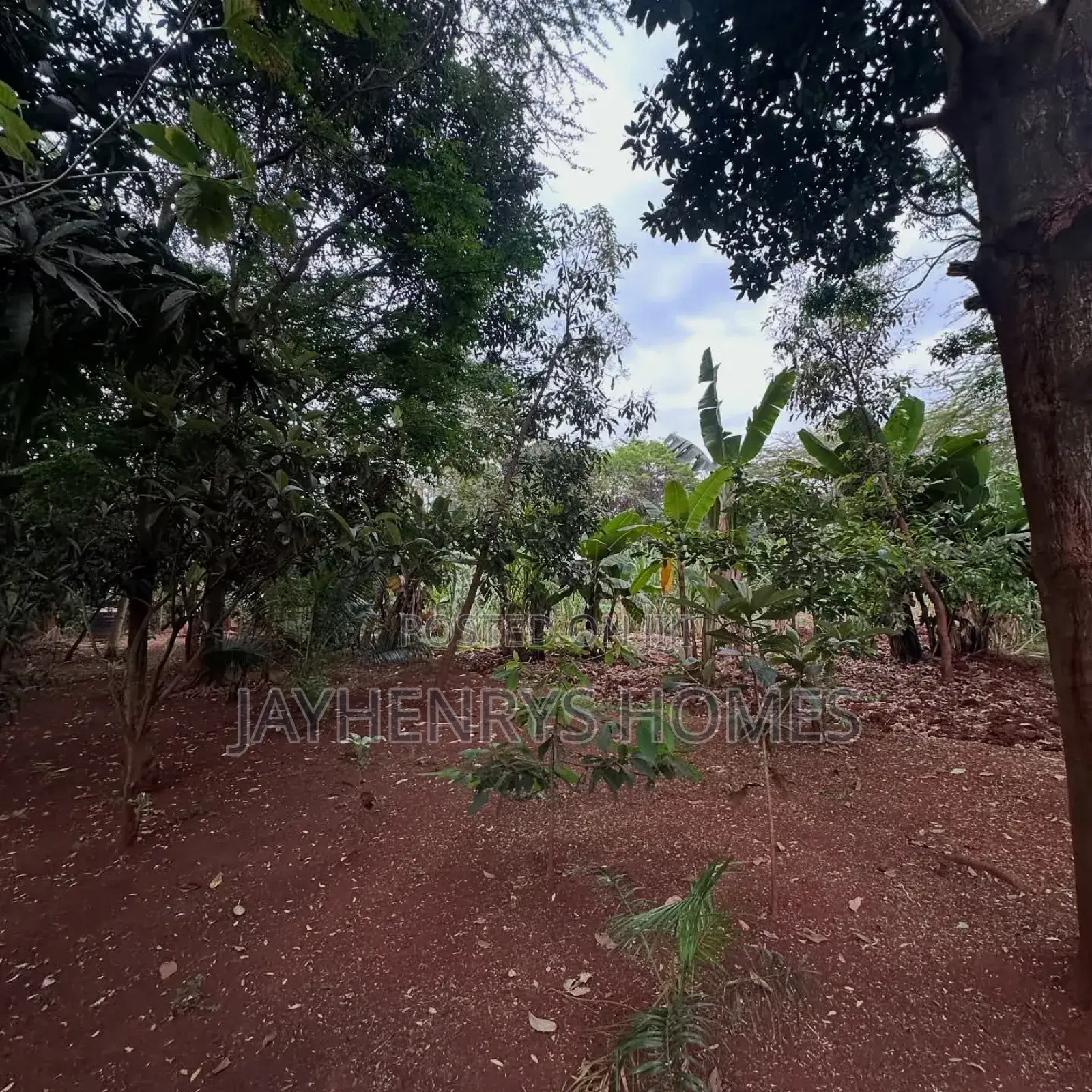 Half Acre Plot for Sale in Njathaini Road,Off Kiambu Rd at Kes 30m