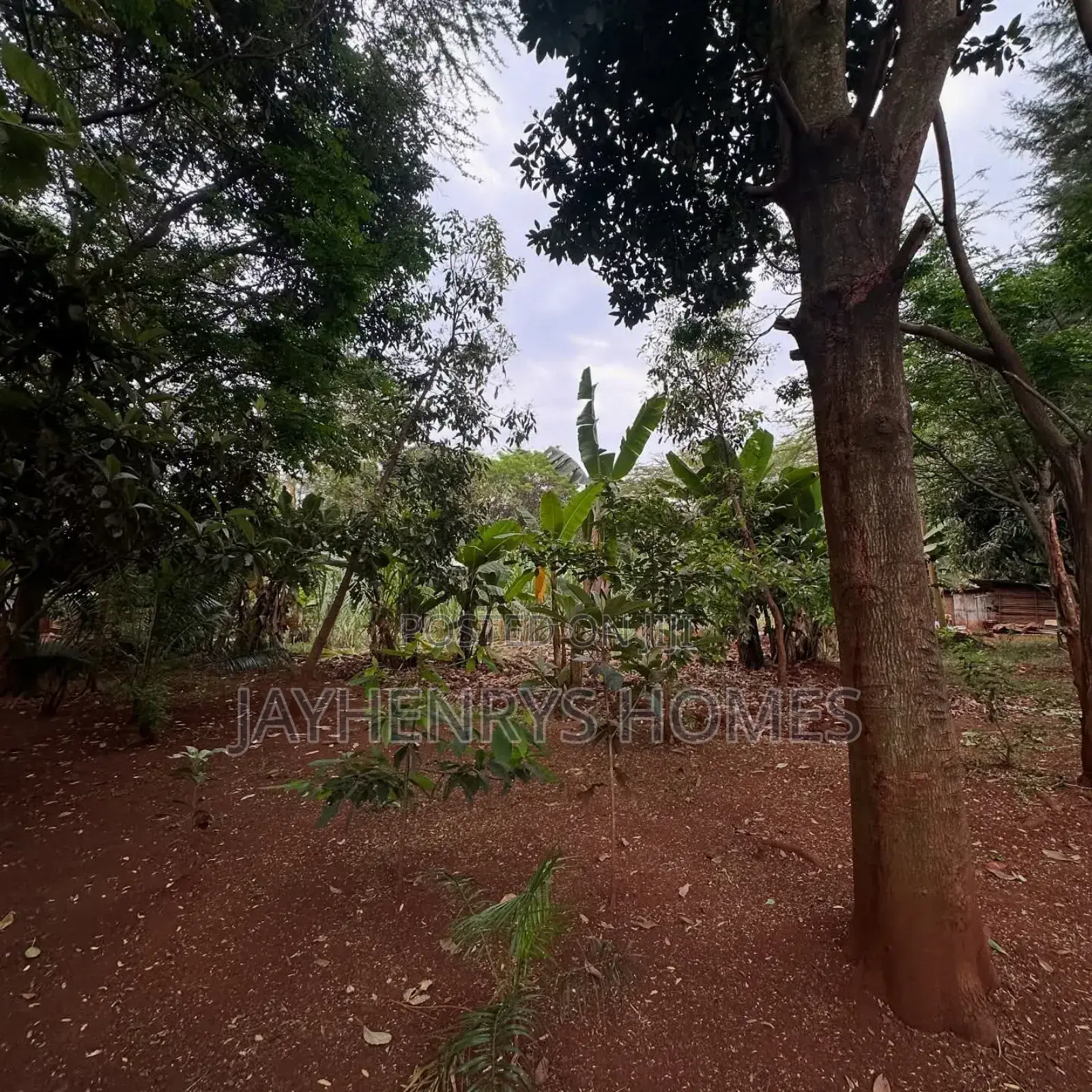 Half Acre Plot for Sale in Njathaini Road,Off Kiambu Rd at Kes 30m