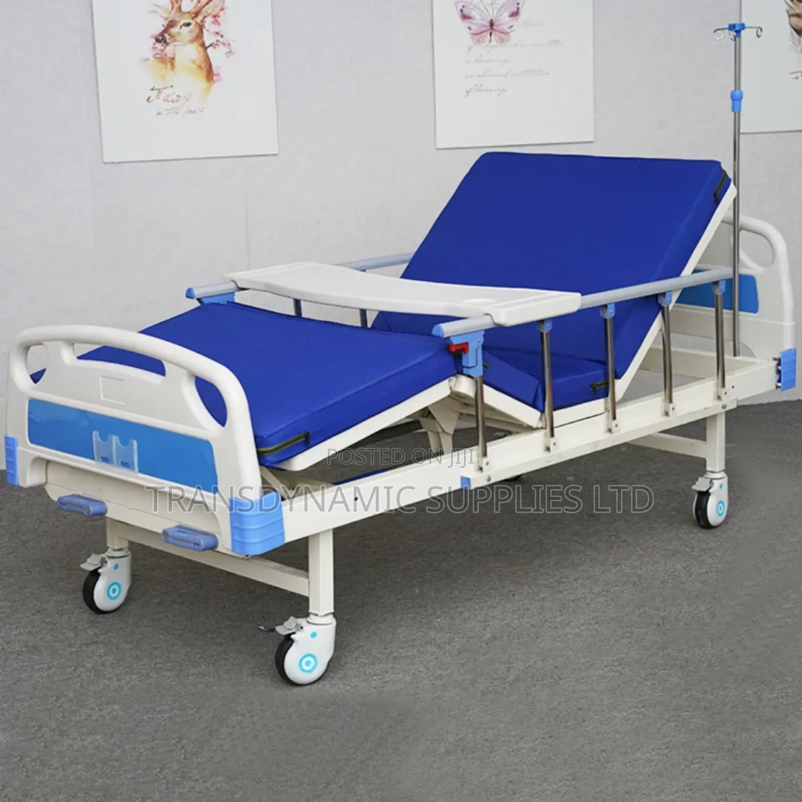 Patient Homecare Bed(2 Crank)