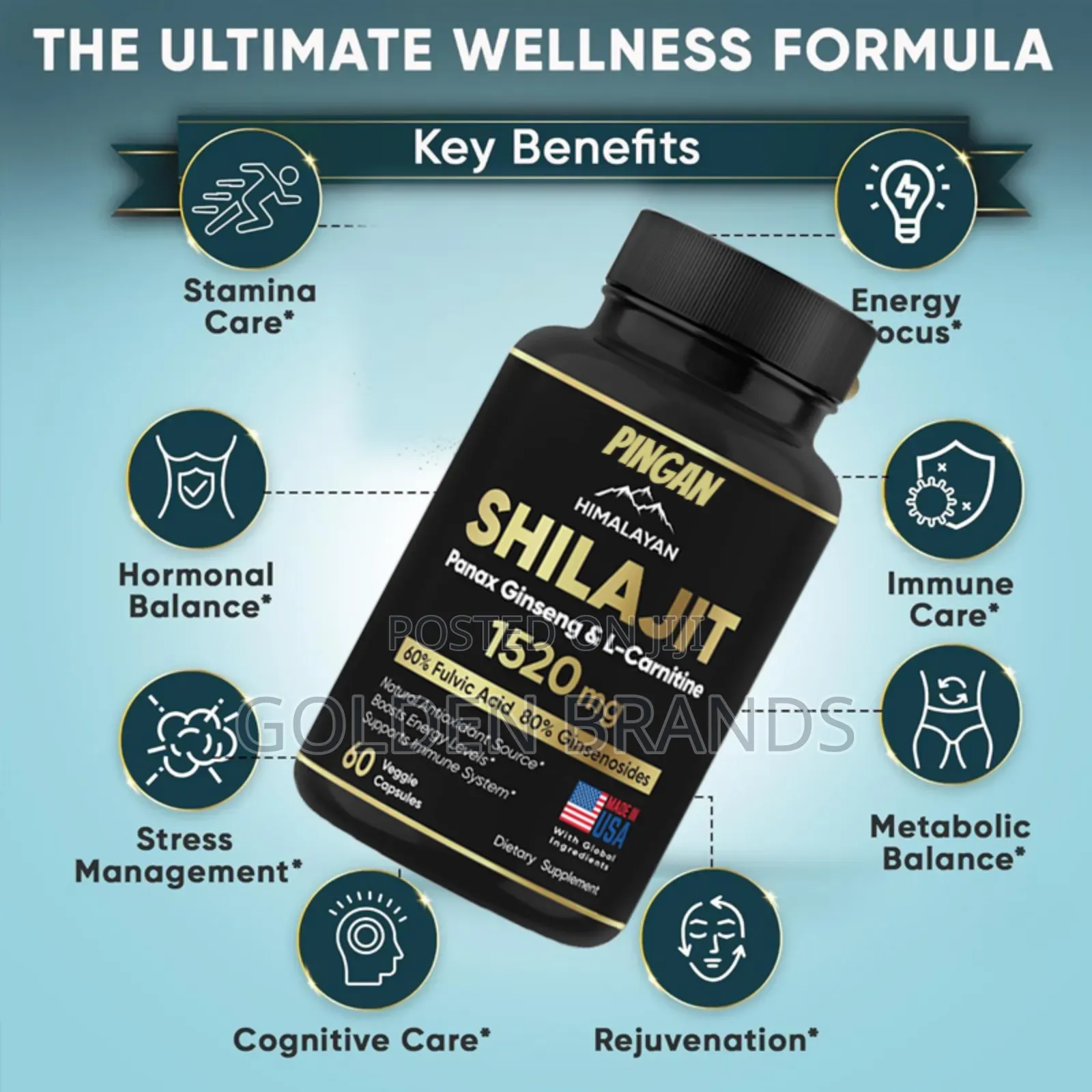 Men's Booster, Erectile Dysfunction Cure, Himalayan Shilajit 60 Capsul