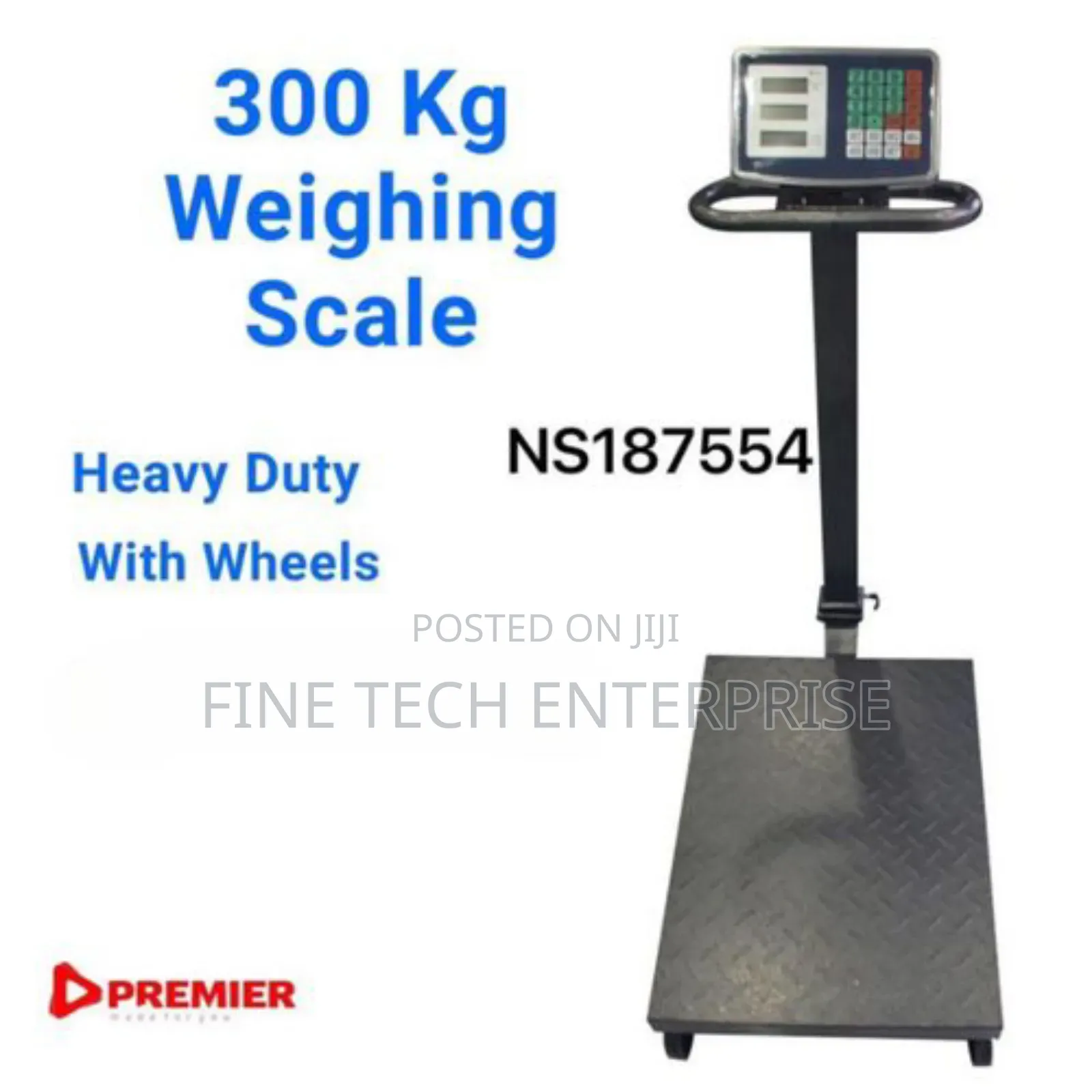 300 KGS Platform Weighing Scale