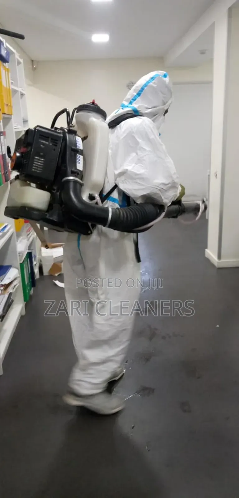 Evict Cocroaches Bedbugs to Protect Your Living Space