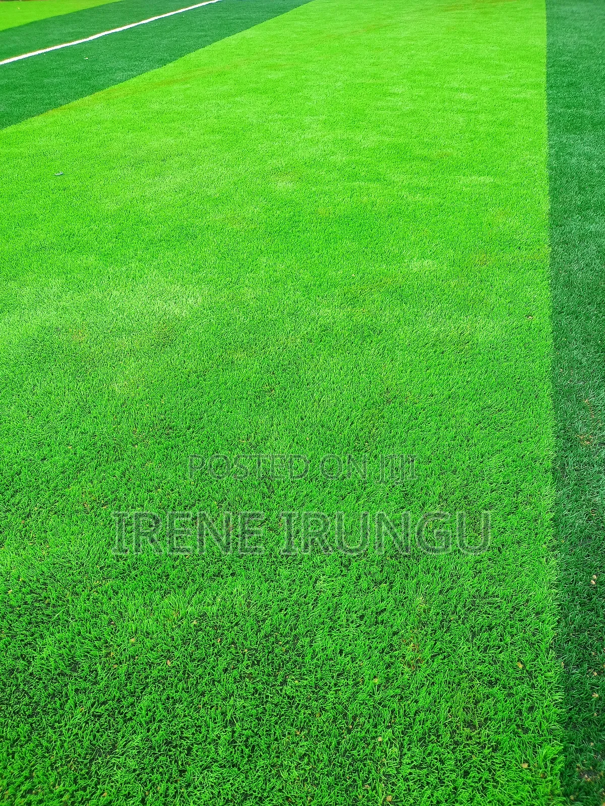 Gym Workout Green Carpet