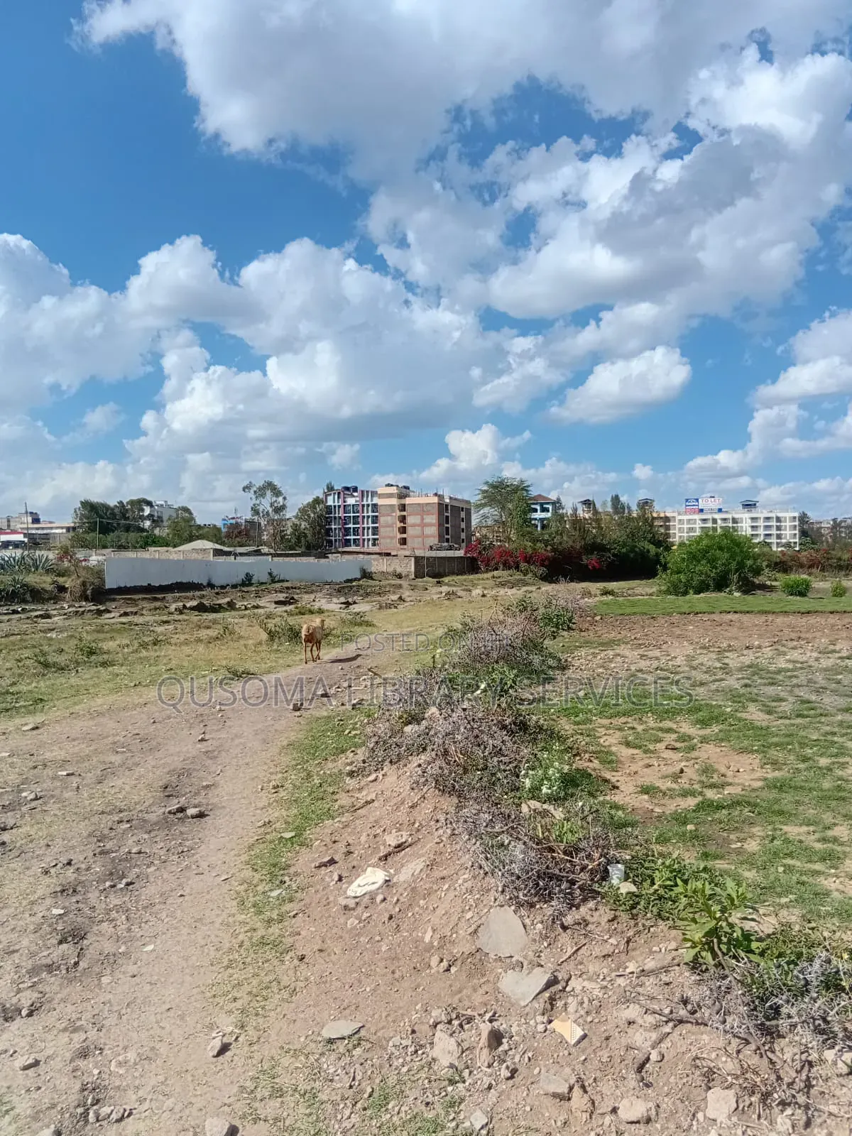 Prime Investment Opportunity: Kitengela Riverside Quarter-Acre Plots