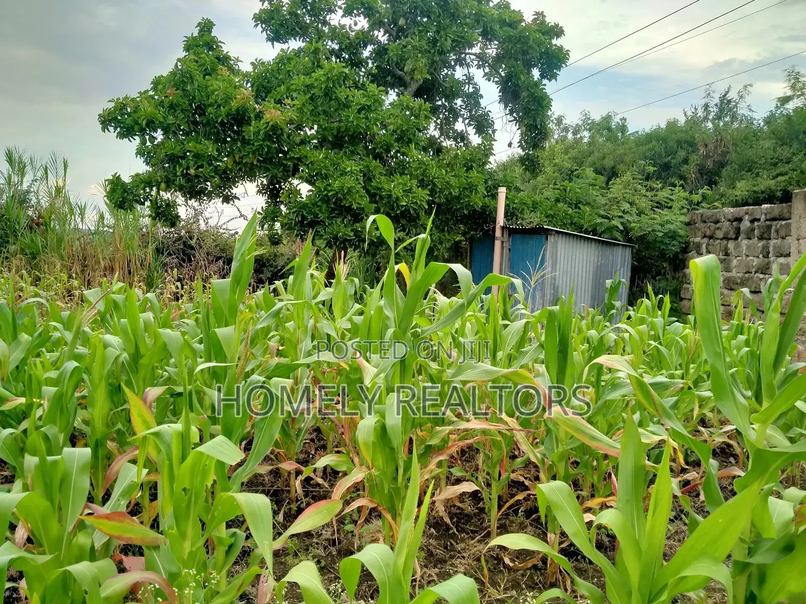 Eighth Acre Plot for Sale in Ongata Rongai, Kandisi.