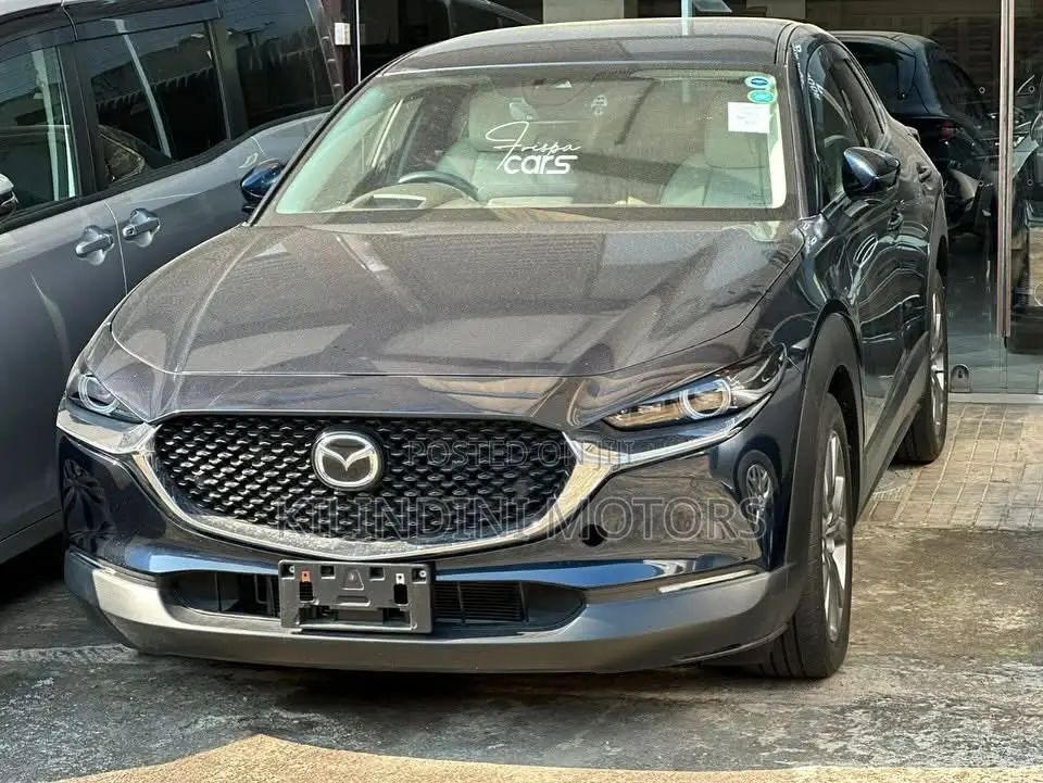 Mazda CX-30 2020 Gray