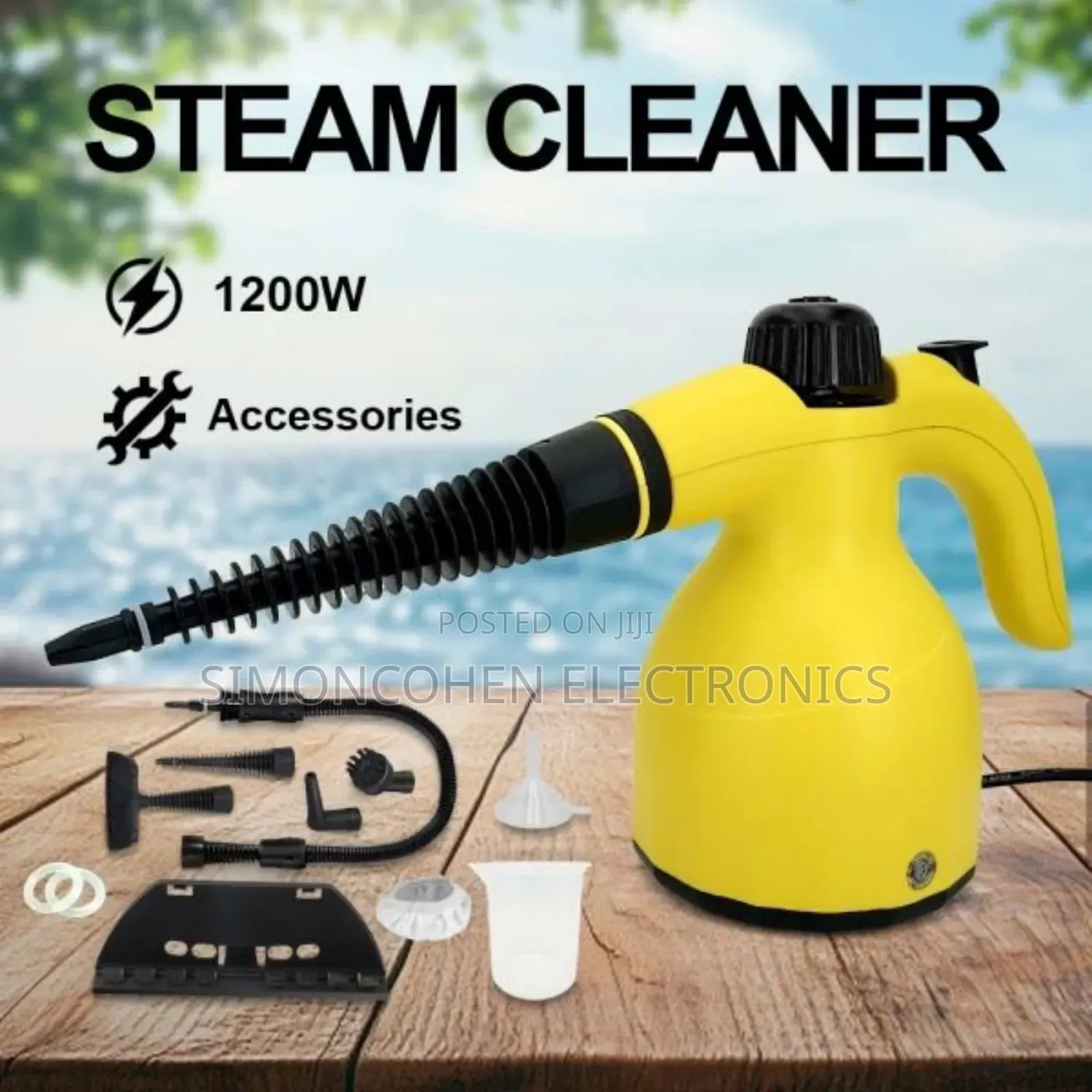 220v Handheld Steam Cleaner