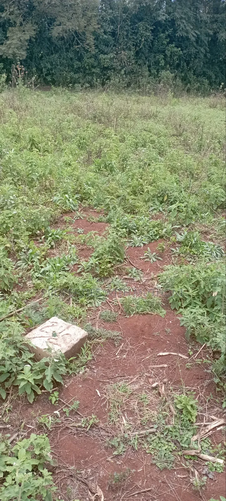 1⁄8acre Plots for Sale in Matasia,Ngong.