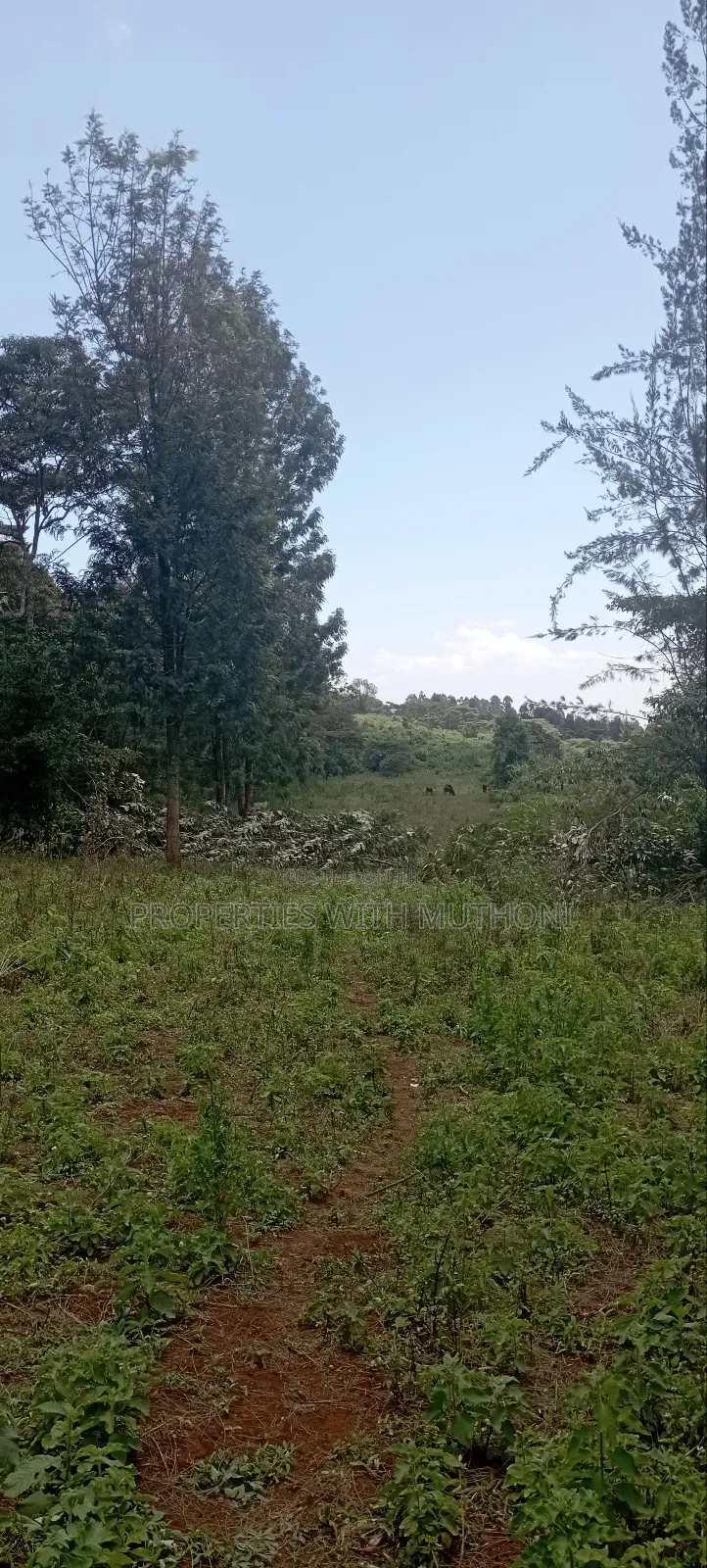 1⁄8acre Plots for Sale in Matasia,Ngong.