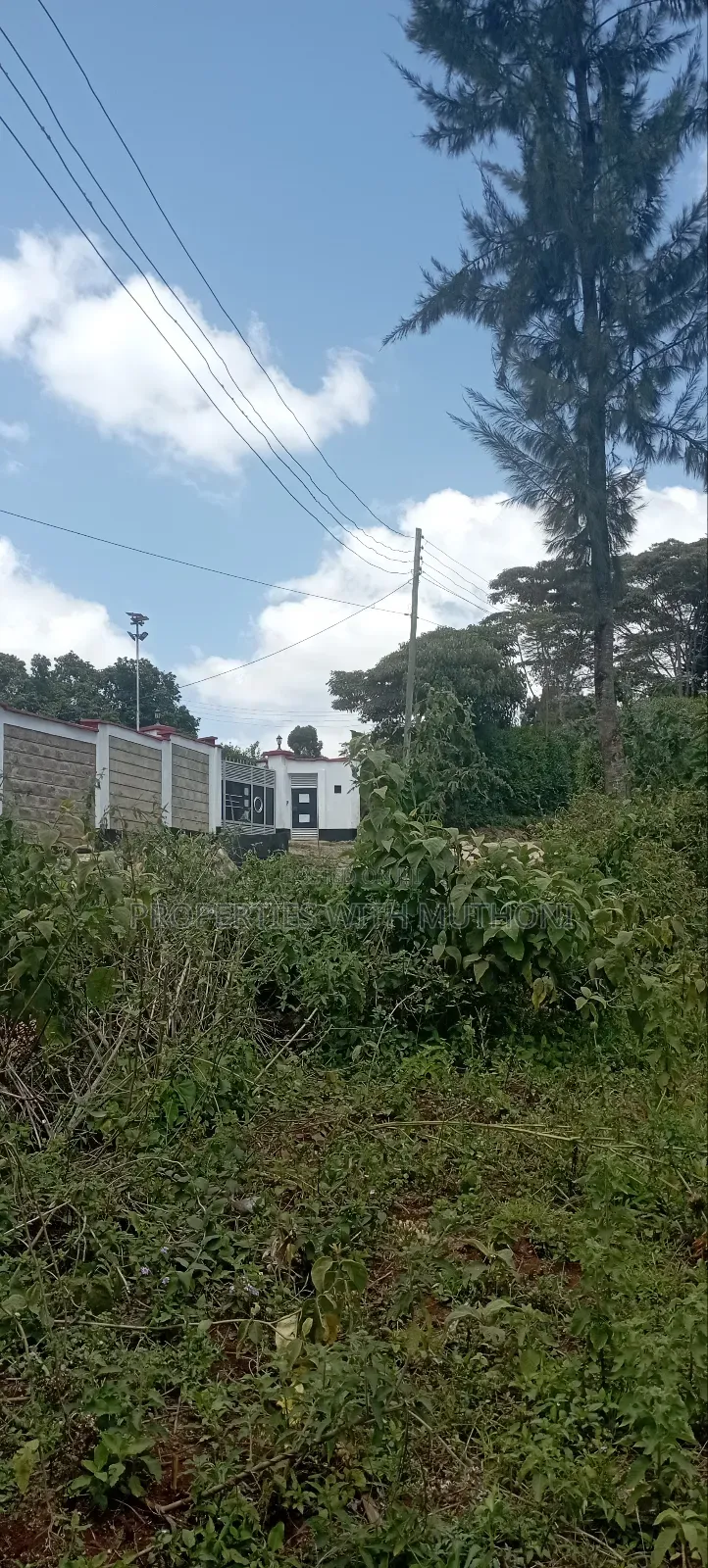 1⁄8acre Plots for Sale in Matasia,Ngong.