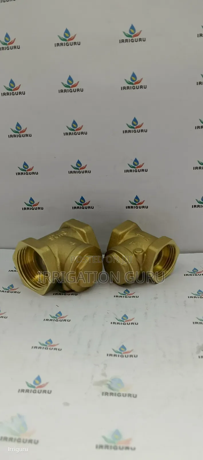 Anti Backflow Valve 50mm