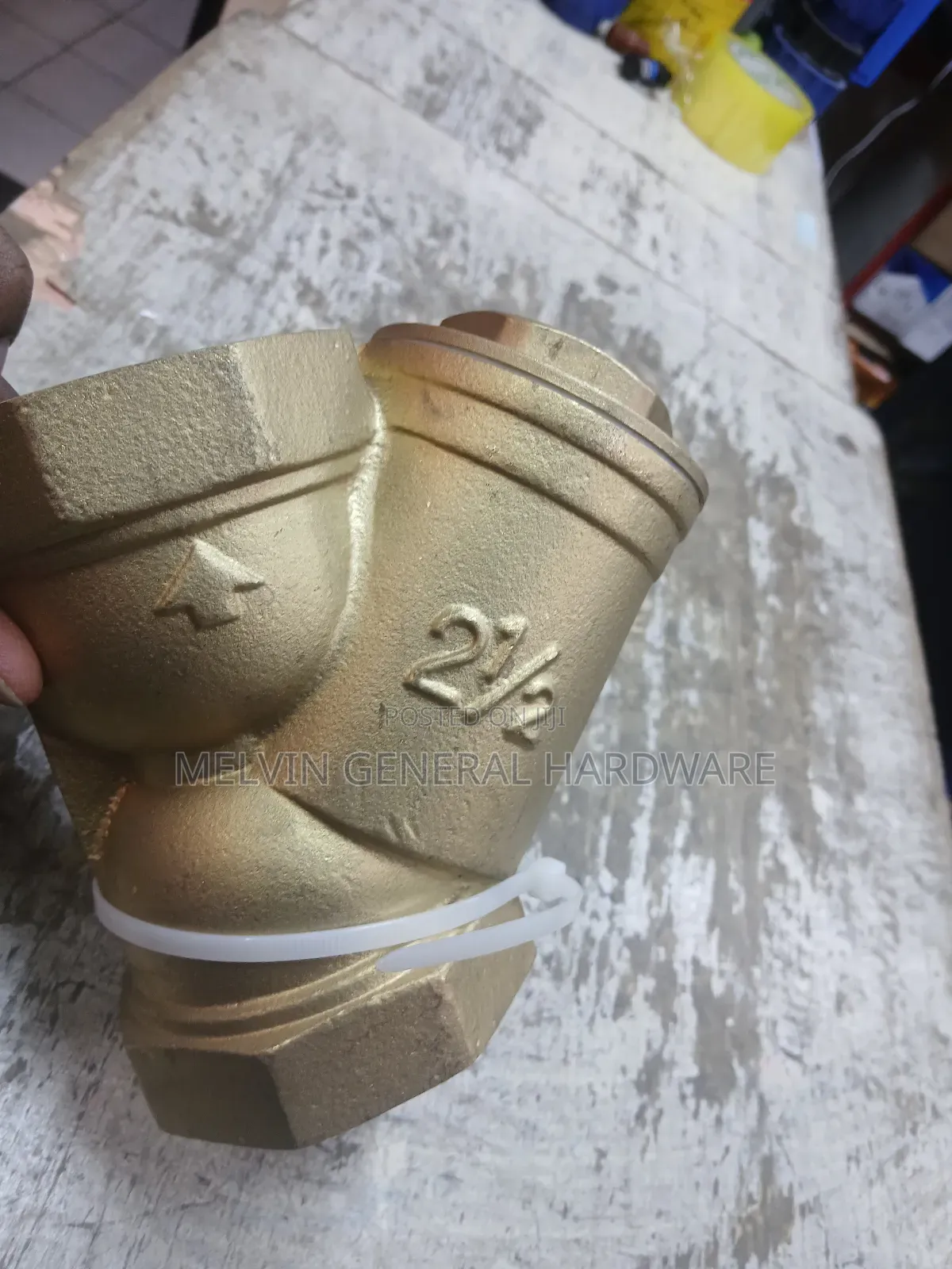 Y Strainer 21/2"