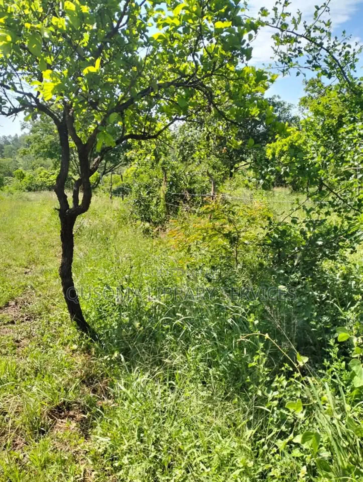Miliki Shamba La Ndoto Yako Embu