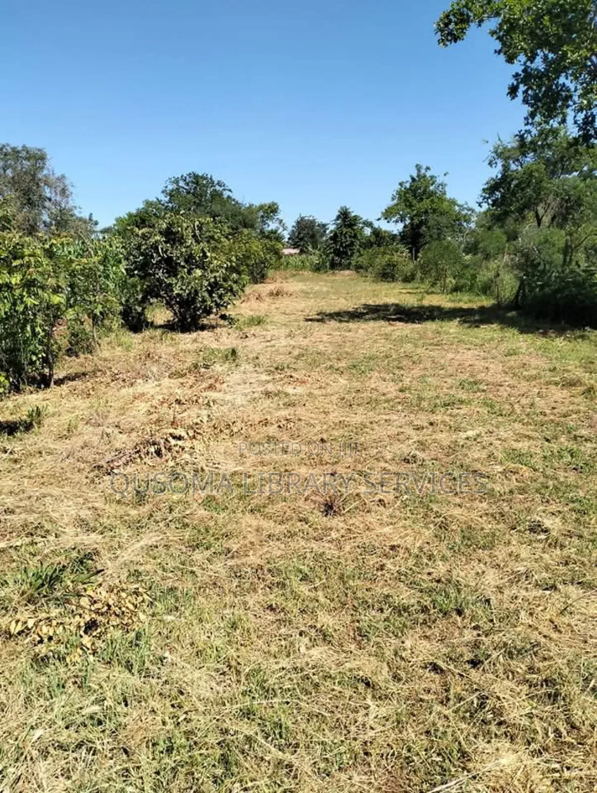Miliki Shamba La Ndoto Yako Embu