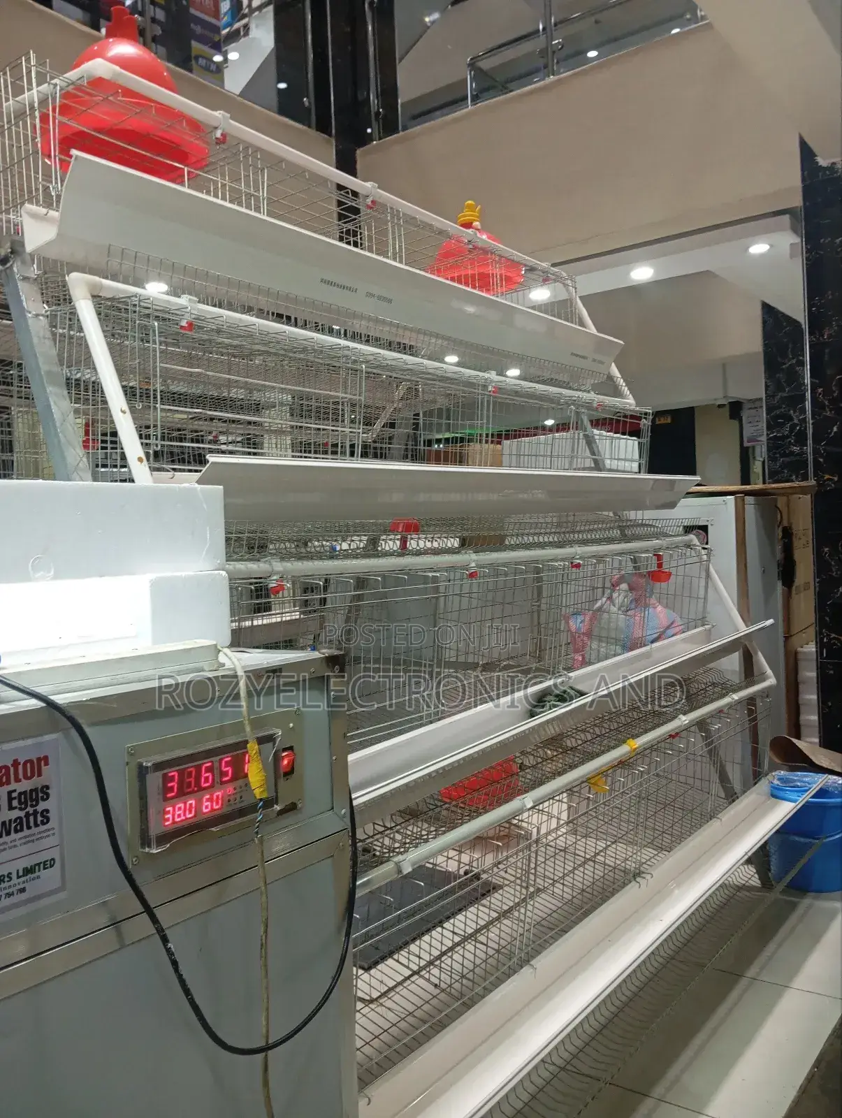 128 Birds Cage 32 Cubes Complete With Feeders And Drinkers