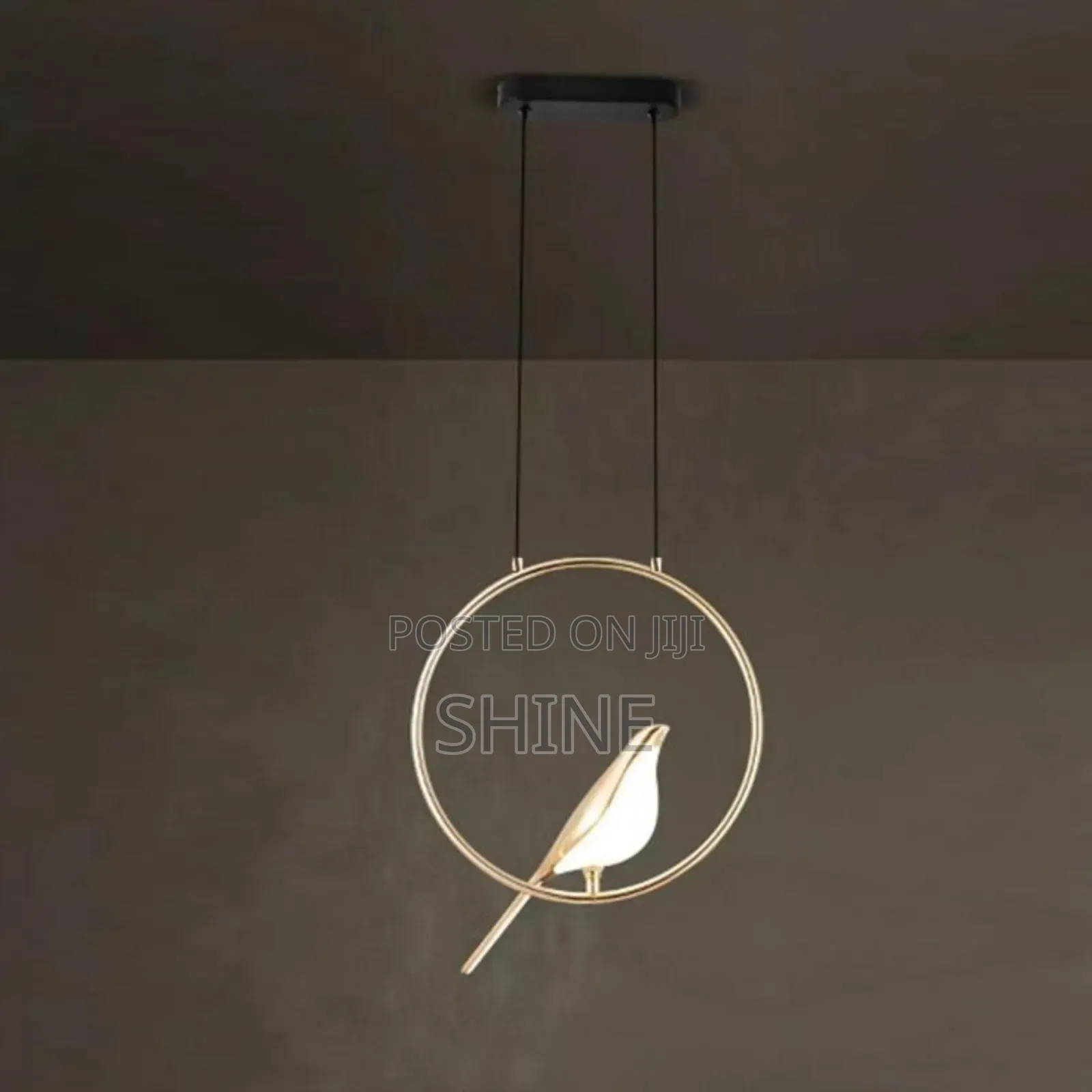 Led Pendant Light