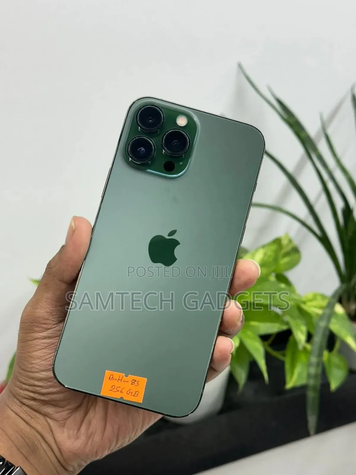 Apple iPhone 13 Pro Max 128 GB Green