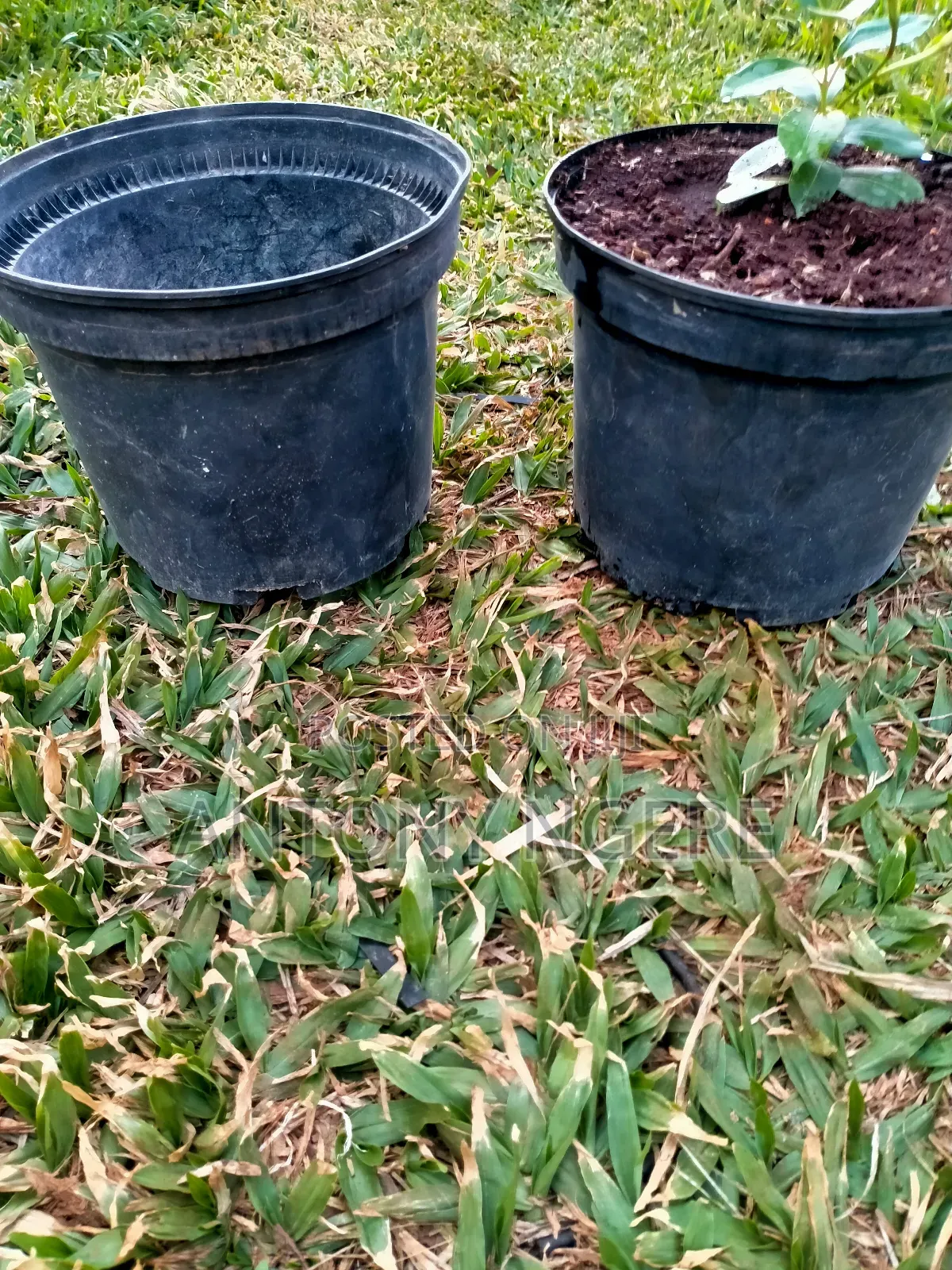 Planter Round Shaped