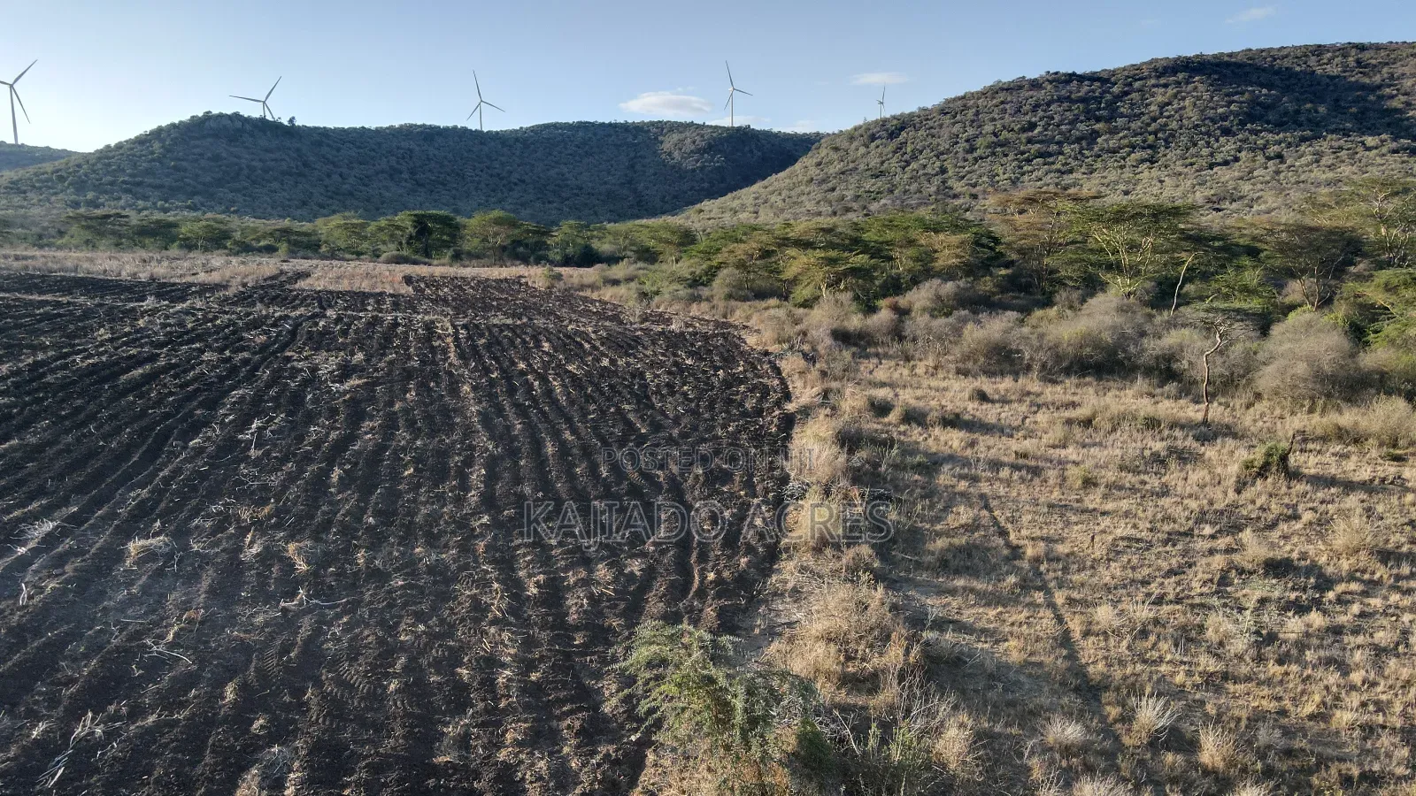 20 Acres Kipeto at Per Acre
