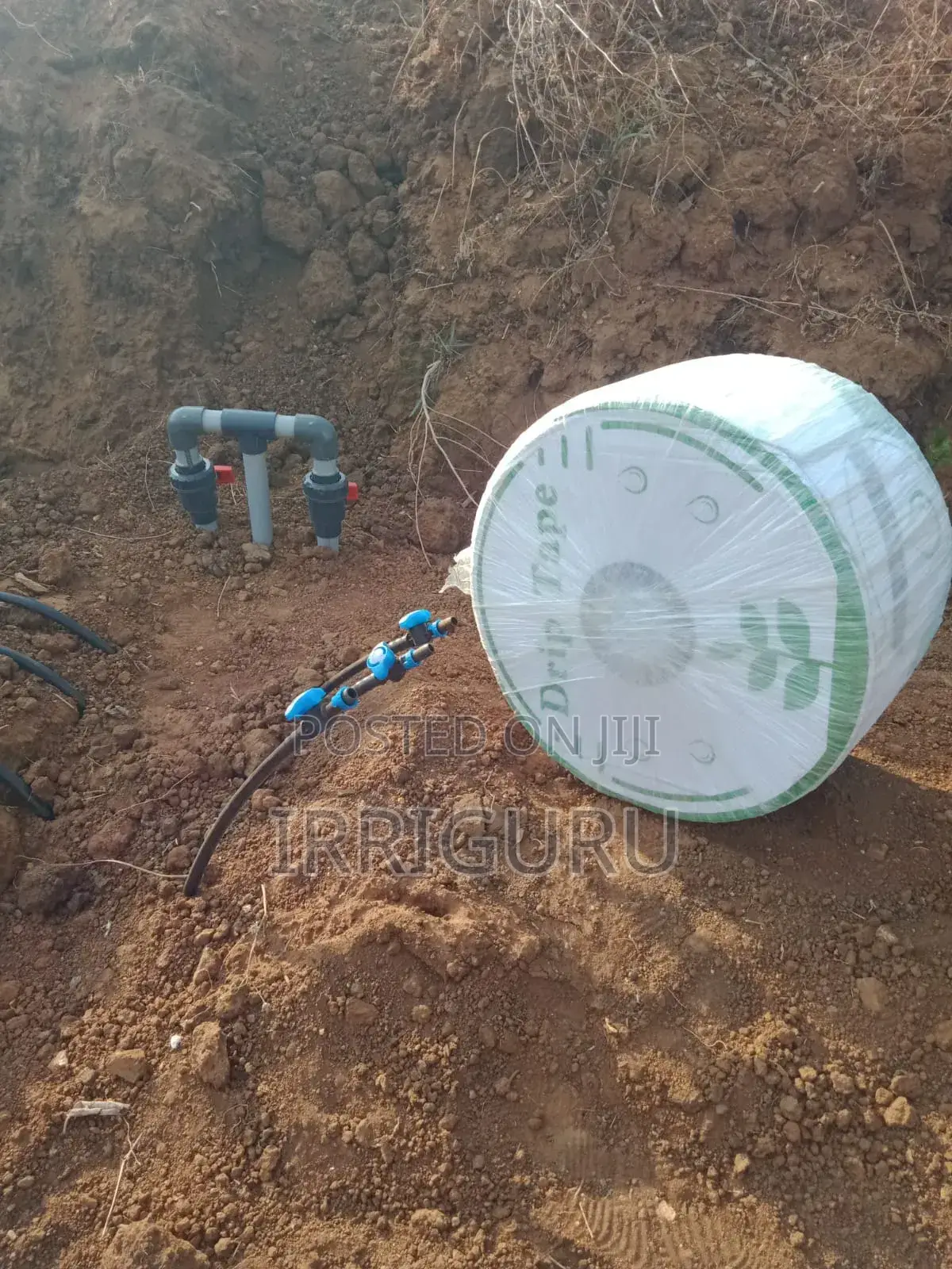 Drip Lines Irrigation