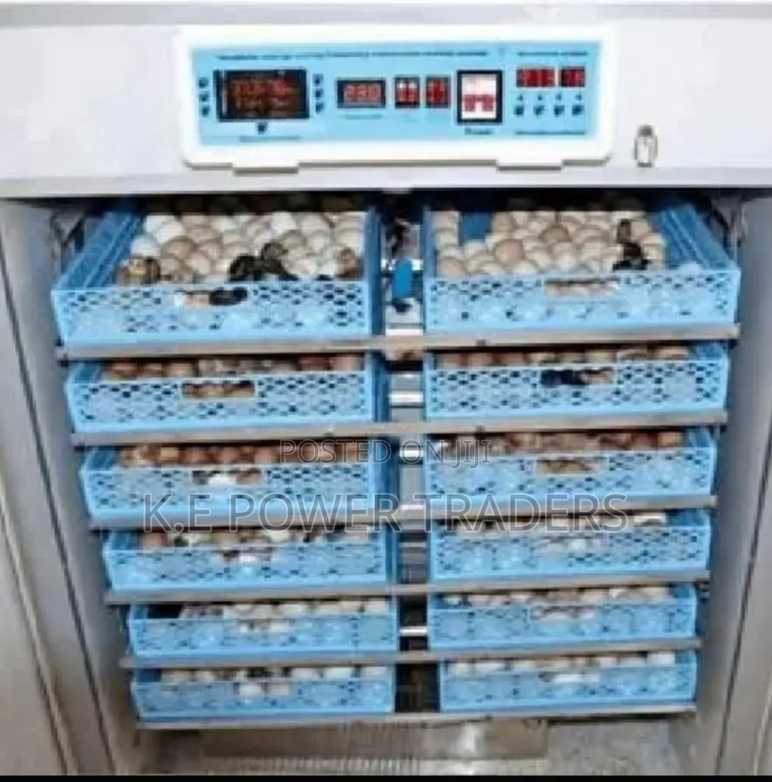 1056 Egg Incubator