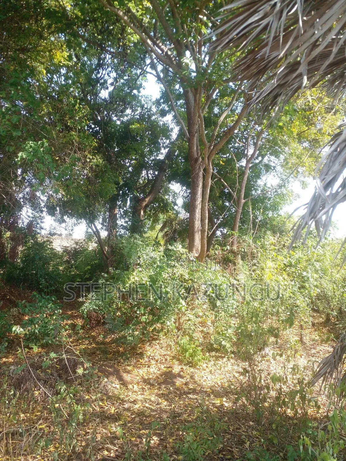 1/2 Acre Plot on Sale in Kinondo Beach Side.