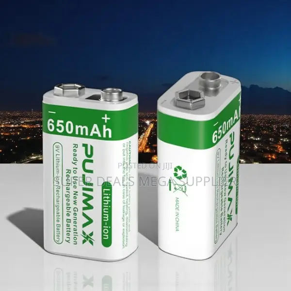 Pujimax 9v 650mah Lithium-Ion Rechargeable Battery for Gadgets