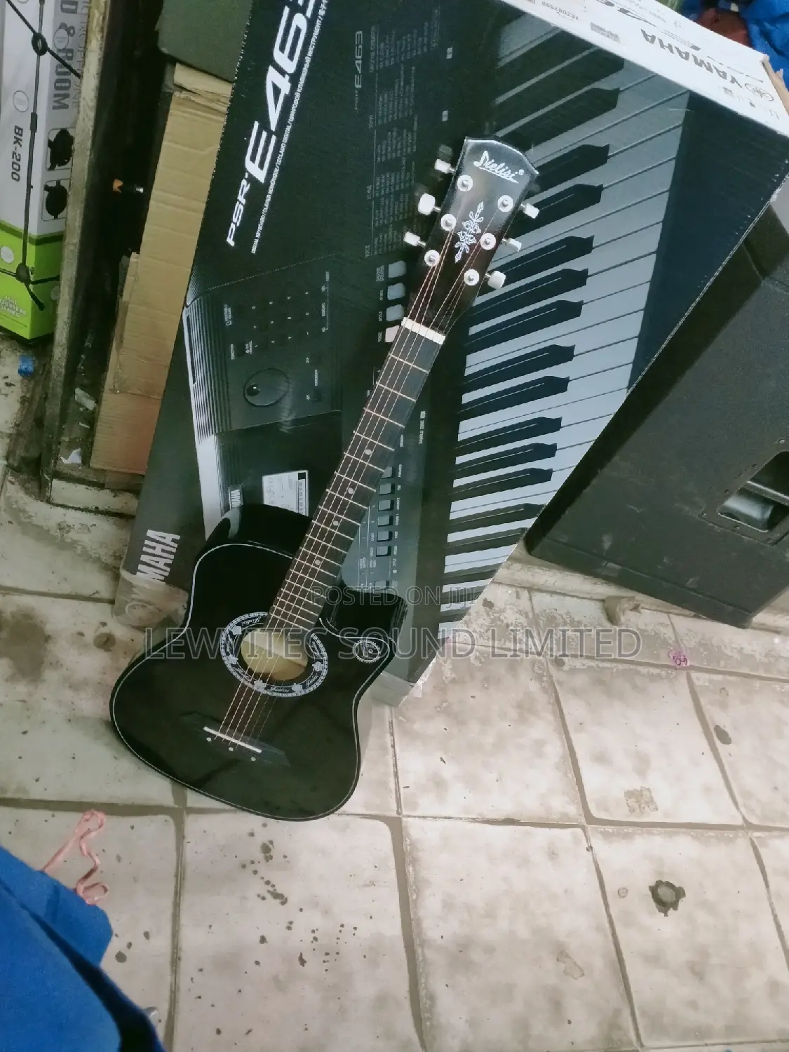 Dielis Acoustic Guitars