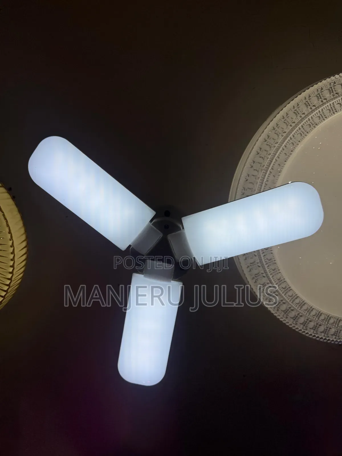 3 Blend Fan Bulb