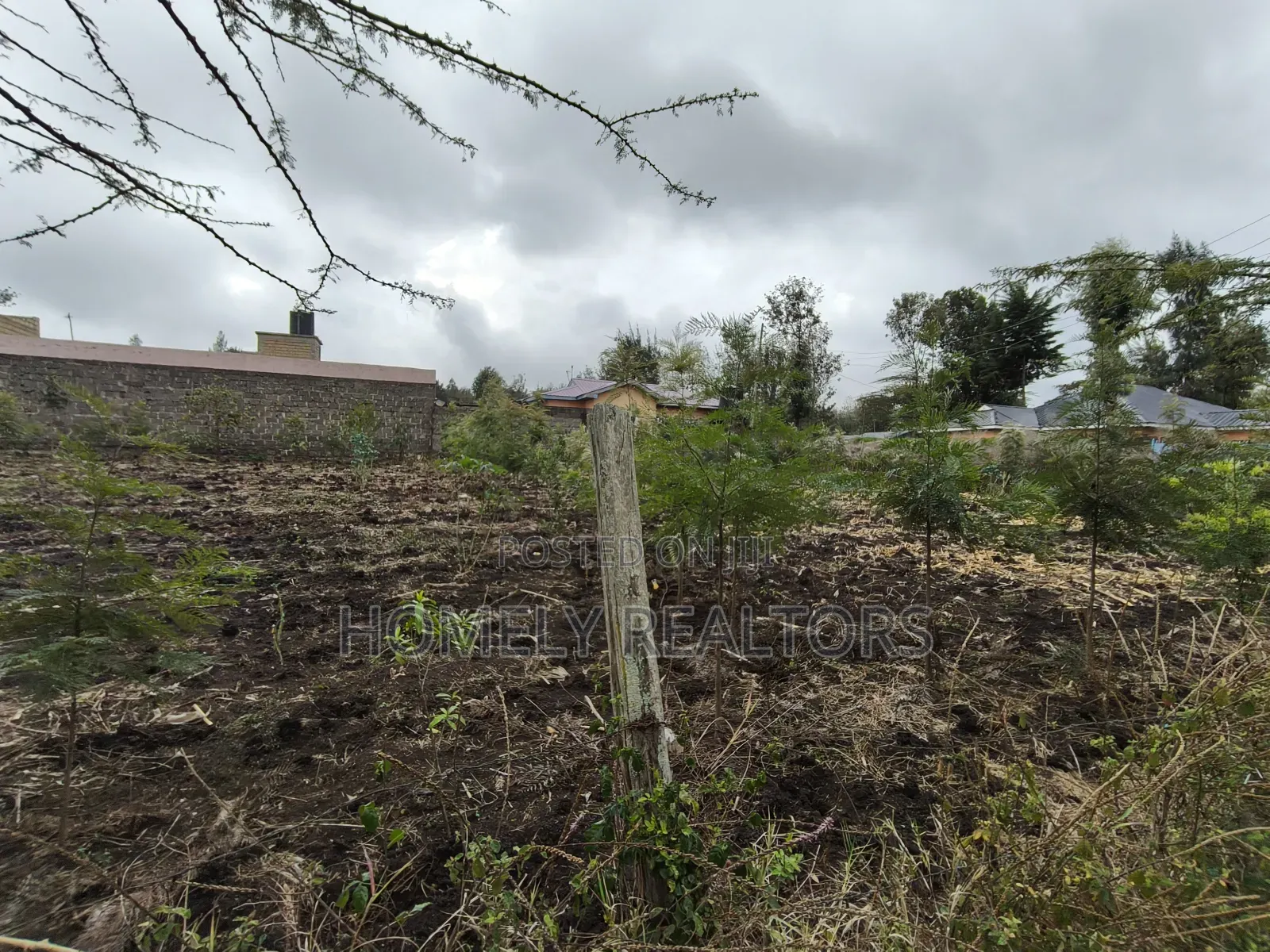 Commercial Quarter Acre Plot in Olkeri, Ngong 3rd Row From Tarmac