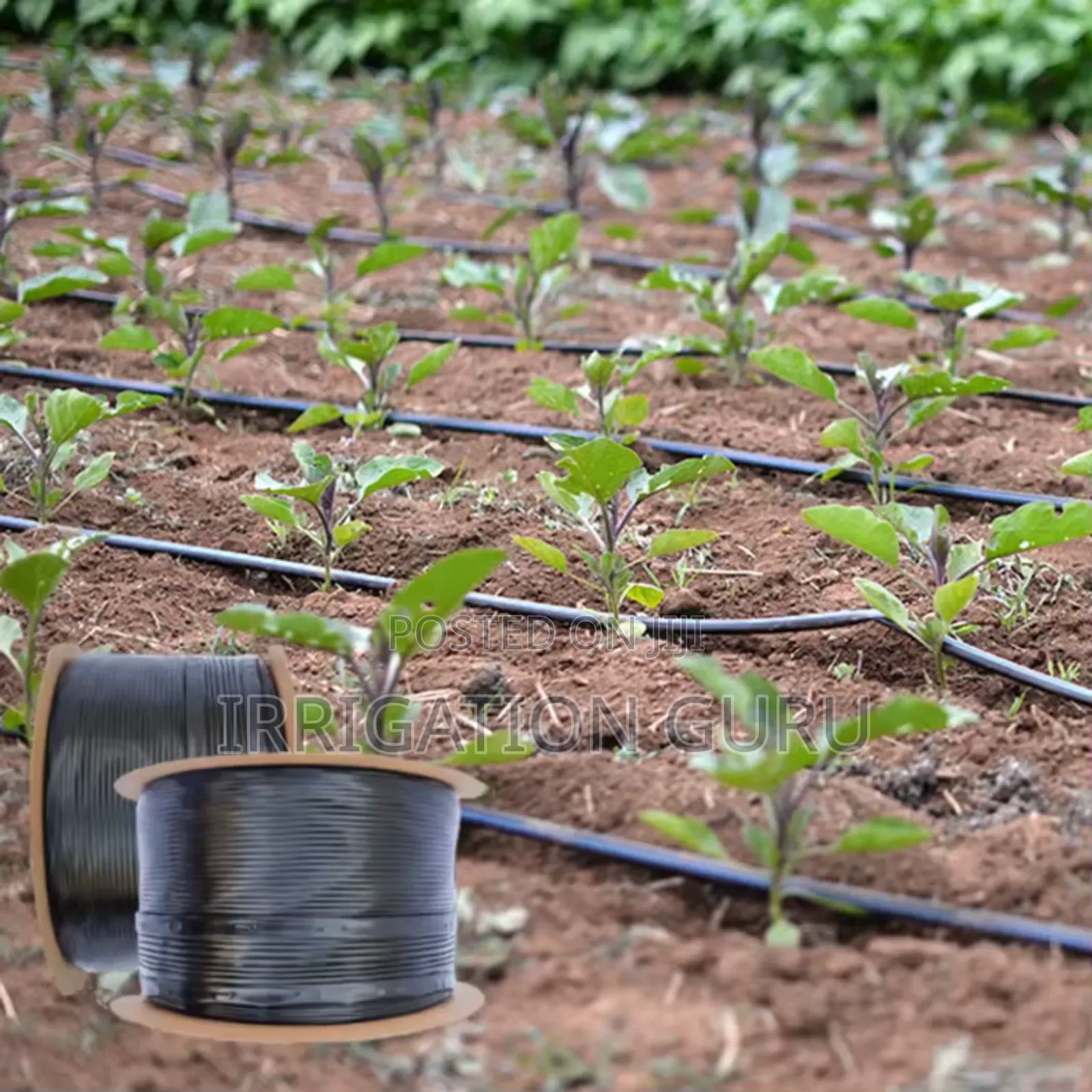Row Crop Tape