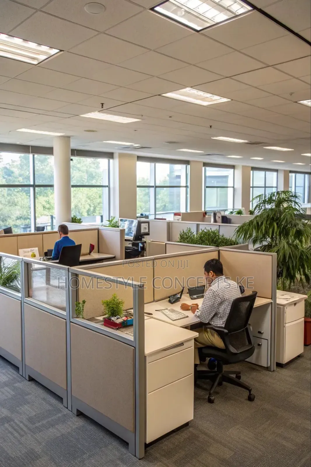 Acoustic Suspended Ceiling Hospital Office