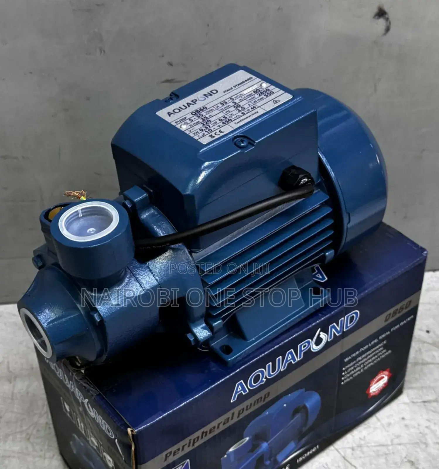 Aquapond 0.5hp Booster Pump