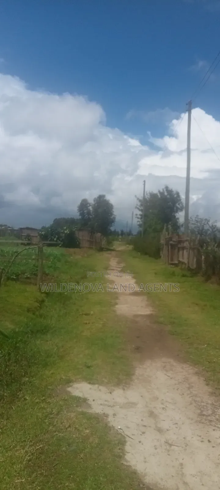 Plot for Sale