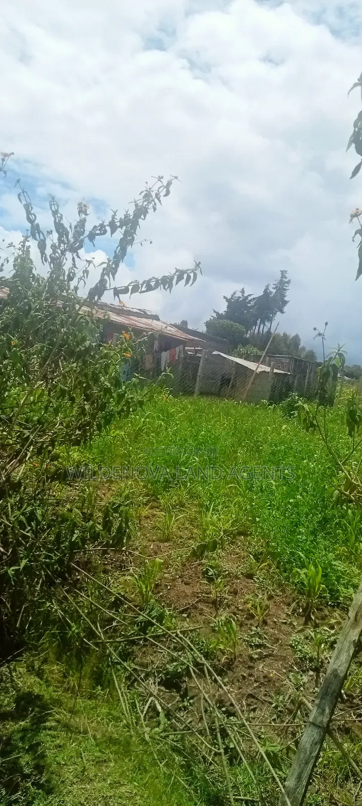 Plot for Sale